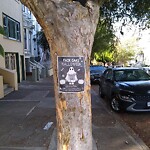 Illegal Postings at Fair Oaks St & 24th St Dolores Heights Sf