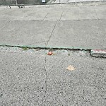 Curb & Sidewalk Issues at Pacific Ave & Stockton St