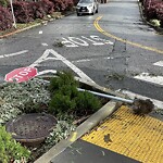 Parking & Traffic Sign Repair at 1–7 Yerba Buena Ave, San Francisco 94127