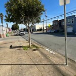Curb & Sidewalk Issues at 1145 Visitacion Ave