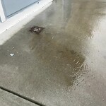 Flooding, Sewer & Water Leak Issues at 881 Colby St