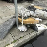 Street or Sidewalk Cleaning at 250 Bay Shore Blvd