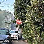 Parking & Traffic Sign Repair at 188–198 Morse St, San Francisco 94112