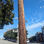Illegal Postings at 4602 18th St