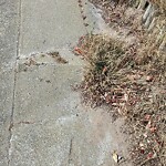 Curb & Sidewalk Issues at 300 Ortega St, San Francisco 94122