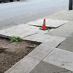 Curb & Sidewalk Issues at 2501 Sutter St, San Francisco 94115