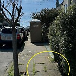 Curb & Sidewalk Issues at 1929 23rd Ave