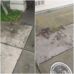 Street or Sidewalk Cleaning at 65 Leo St
