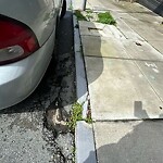 Curb & Sidewalk Issues at 1688 Sutter St