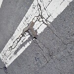 Pothole & Street Issues at 4244 Geary Blvd, San Francisco 94118