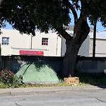 Encampment at Laurel Village Shopping Center, 3565 California St, San Francisco 94118