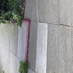 Curb & Sidewalk Issues at 335 Euclid Ave