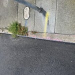 Curb & Sidewalk Issues at 1383 21st Ave