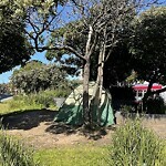 Encampment at Geary Blvd