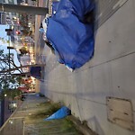 Encampment at 600 Van Ness Ave, San Francisco 94102