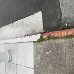 Curb & Sidewalk Issues at Florida St & 16th St