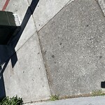 Curb & Sidewalk Issues at 1101 Franklin St, San Francisco 94109