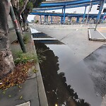 Flooding, Sewer & Water Leak Issues at 999 Brannan St, San Francisco 94103