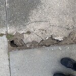 Curb & Sidewalk Issues at 1498 46th Ave, San Francisco 94122