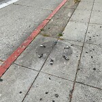 Curb & Sidewalk Issues at 164 30th St