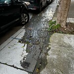 Flooding, Sewer & Water Leak Issues at Green St & Mason St