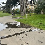 Flooding, Sewer & Water Leak Issues at Yuri's Tennis Services, 12 12th Ave, San Francisco 94118