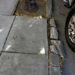 Curb & Sidewalk Issues at 1660 North Point St