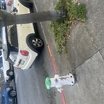 Blocked Driveway & Illegal Parking at Page St & Shrader St