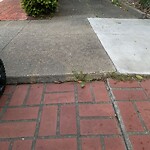 Curb & Sidewalk Issues at 2255 27th Ave, San Francisco 94116