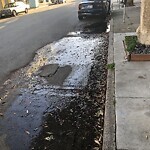 Flooding, Sewer & Water Leak Issues at 3400 Sacramento St