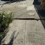 Curb & Sidewalk Issues at 435 Clipper St
