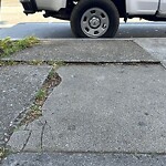 Curb & Sidewalk Issues at 4811 Geary Blvd