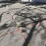 Curb & Sidewalk Issues at 642 Central Ave