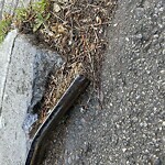 Curb & Sidewalk Issues at 543 Holly Park Cir