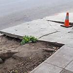 Curb & Sidewalk Issues at 1715 Broderick St