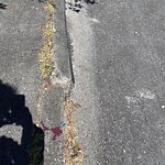 Curb & Sidewalk Issues at 5020 Anza St