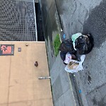 Street or Sidewalk Cleaning at 855 26th St