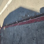 Curb & Sidewalk Issues at 6903 Geary Blvd, San Francisco 94121